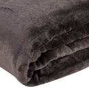 Cobertor Solteiro Microfibra Velour Clássico Camesa - Marrom